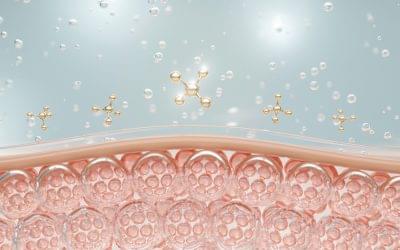 Ceramides in cosmetics